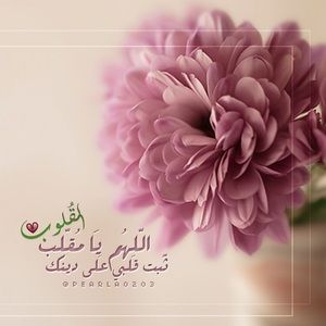 Meet your Posher, Marz